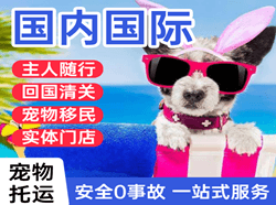 敦煌机场快运国际宠物托运 【国
